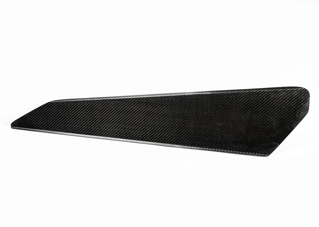 Left Cage Wingless Panel X7 Carbon Fiber