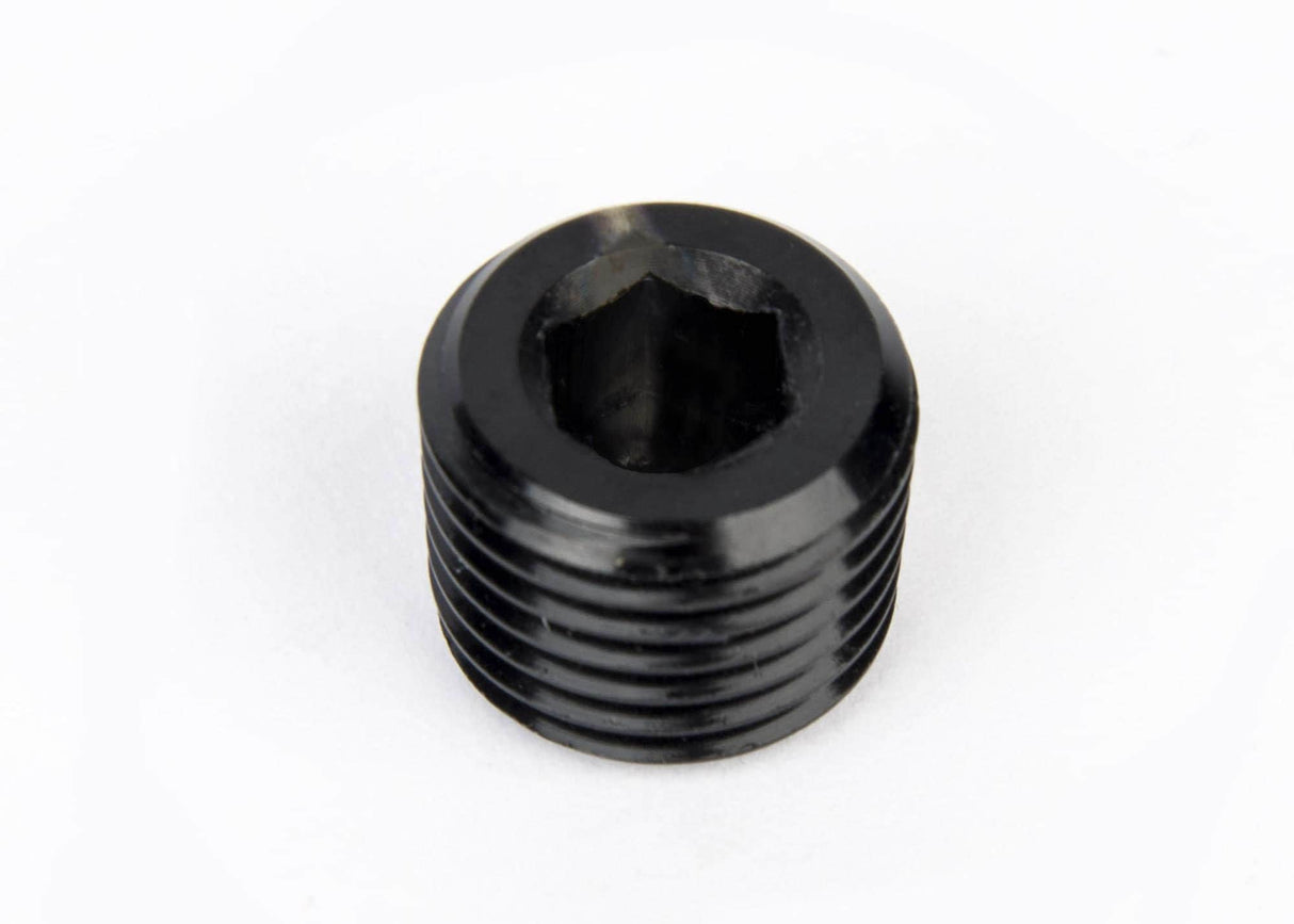1/4" NPT Hex Plug