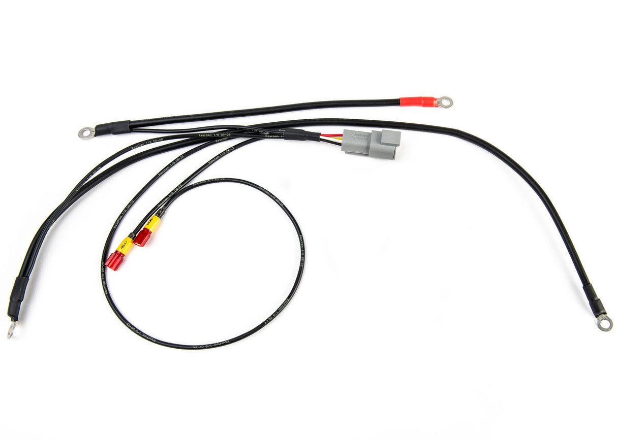 Raychem Ignition Harness Chassis Side, Junior Sprint